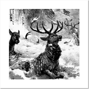 The Deer in the Snow Avalanche Posters and Art